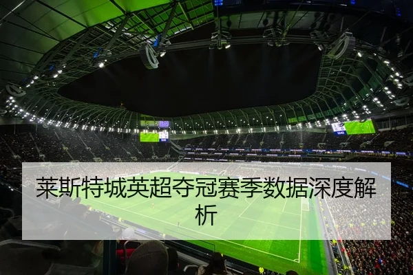 莱斯特城英超夺冠赛季数据深度解析